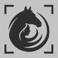 Katja Stuppia Fotografie