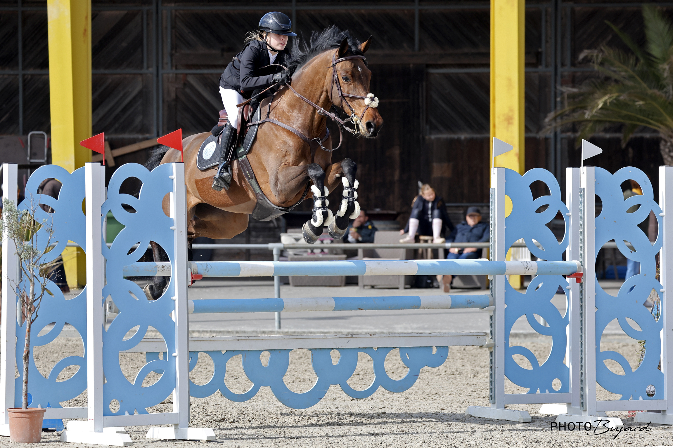 Mun0326De11A_Amsler Alessia_LADY DALLAS II_4162